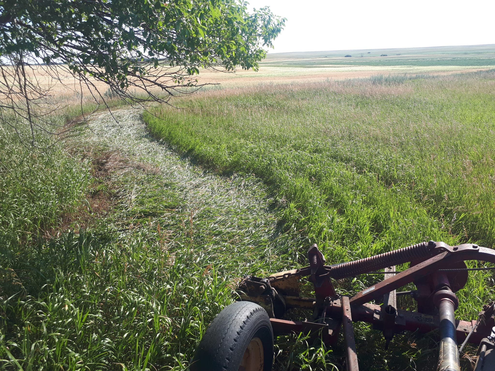 Find us on the prairie.
