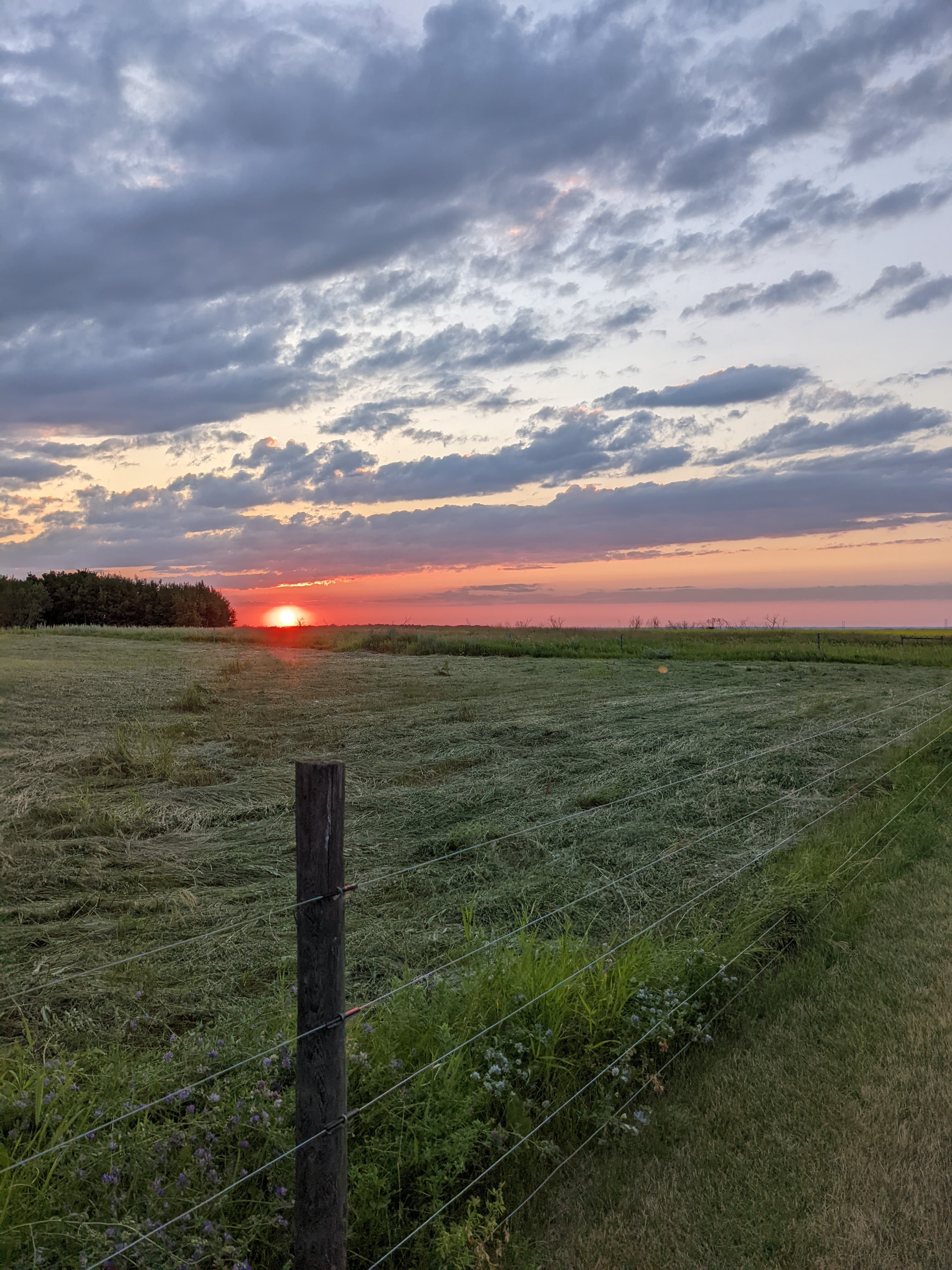 Life on the prairie, one story at a time.